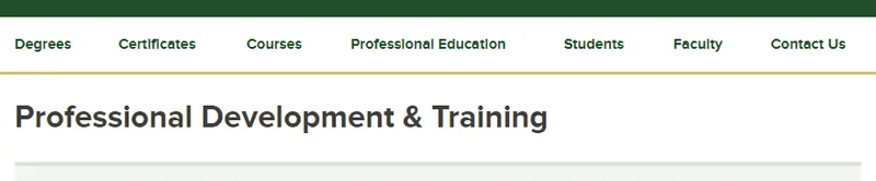 Professional Development