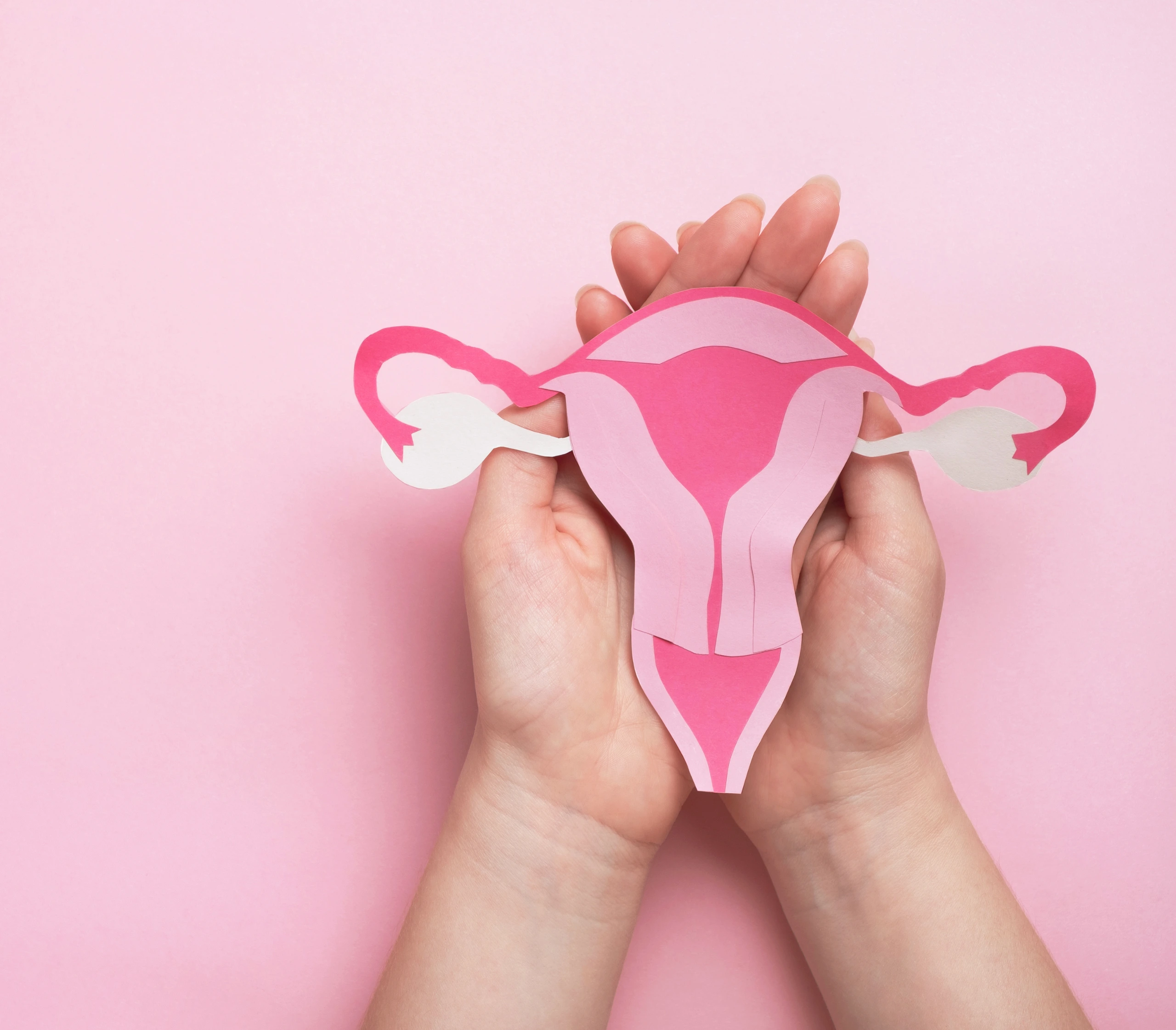 Strategic form testing lifted patient signups 29.7% and revenue 25% for a women’s health center.